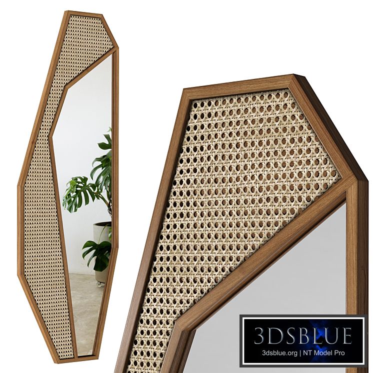 Mirror Rattan Cactus / Cactus