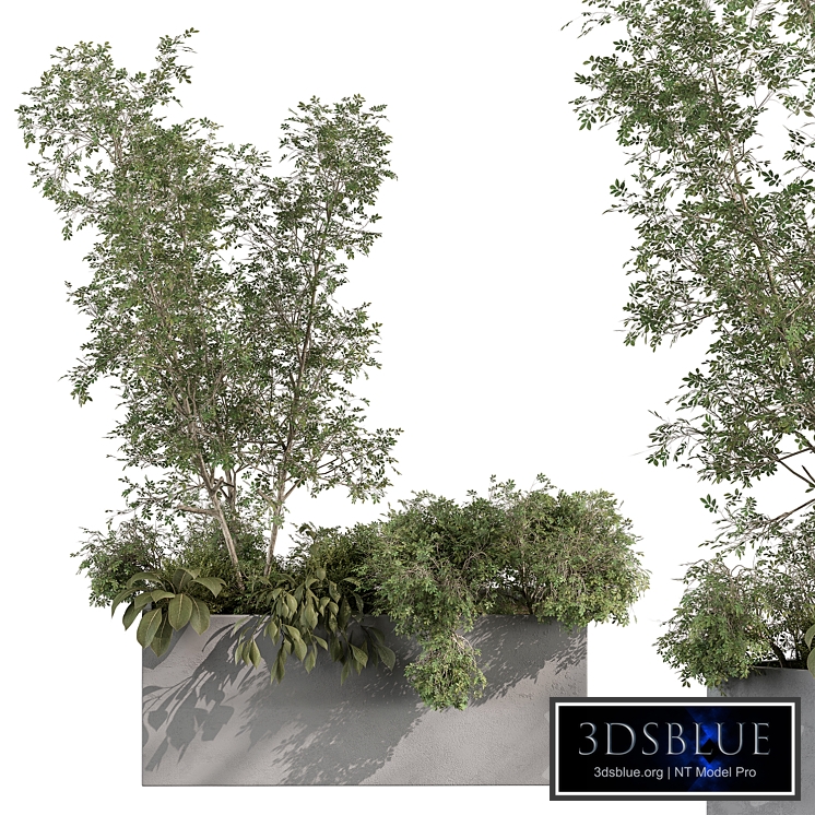 Plant Box - Outdoor Plants 517