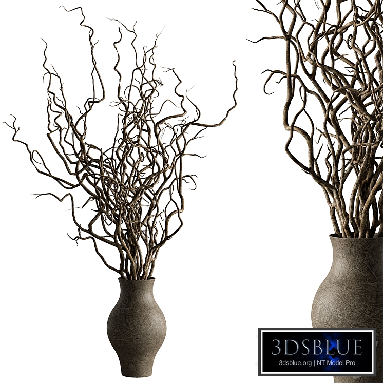 Dry plants 130 - Dried Branch