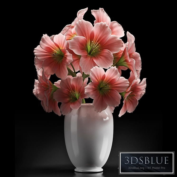 PINK AMARYLLIS