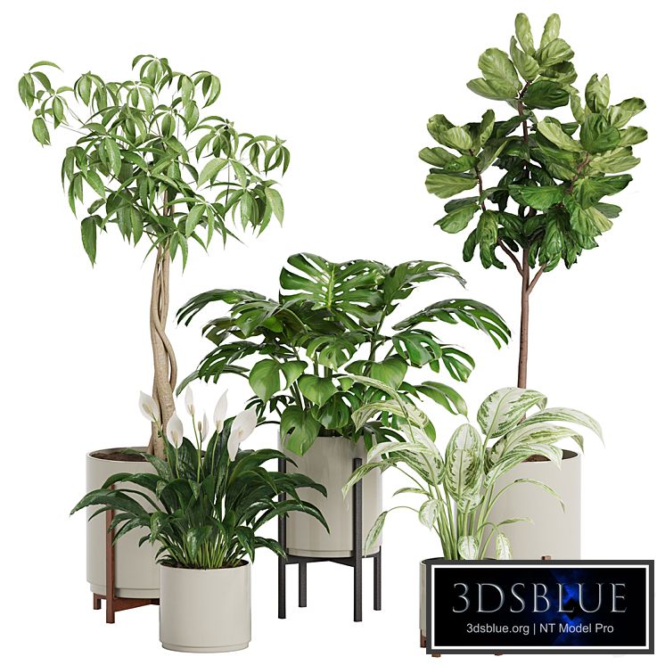 plant in pots_set 03