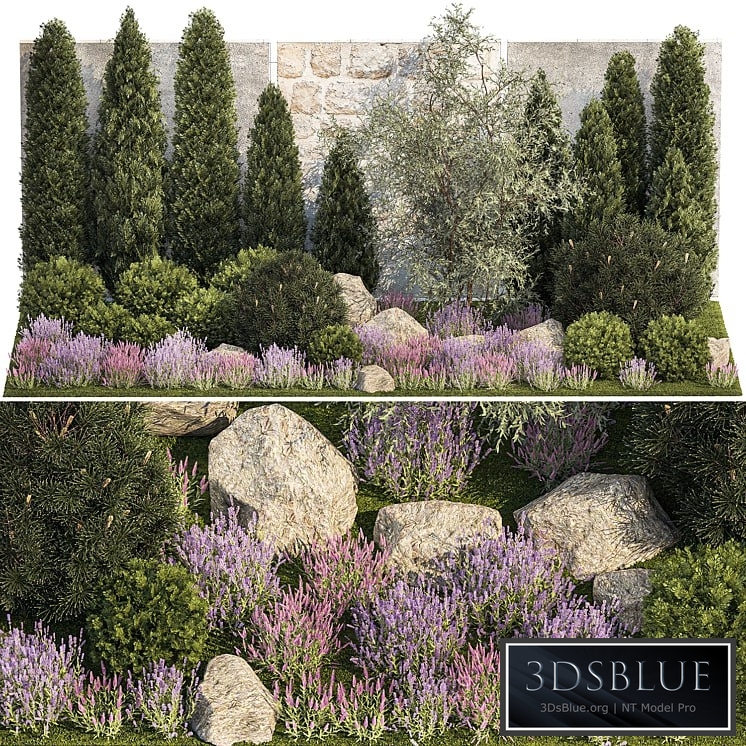 Plant collection 1265