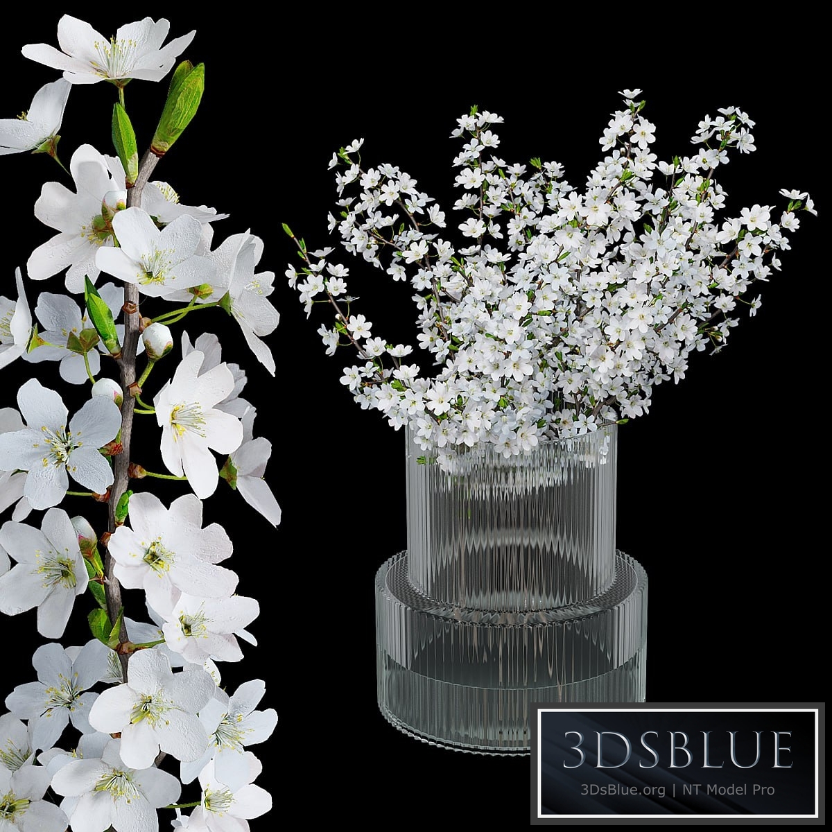 Bouquet of plum blossoms in a vase H&M