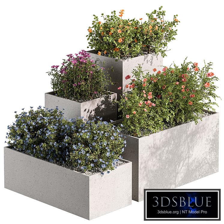 Plant Box - Outdoor Plants Flowers 534