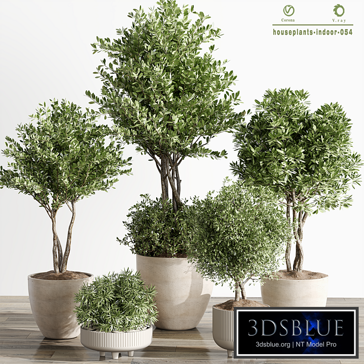 indoor Plant 054 Tree and Bush