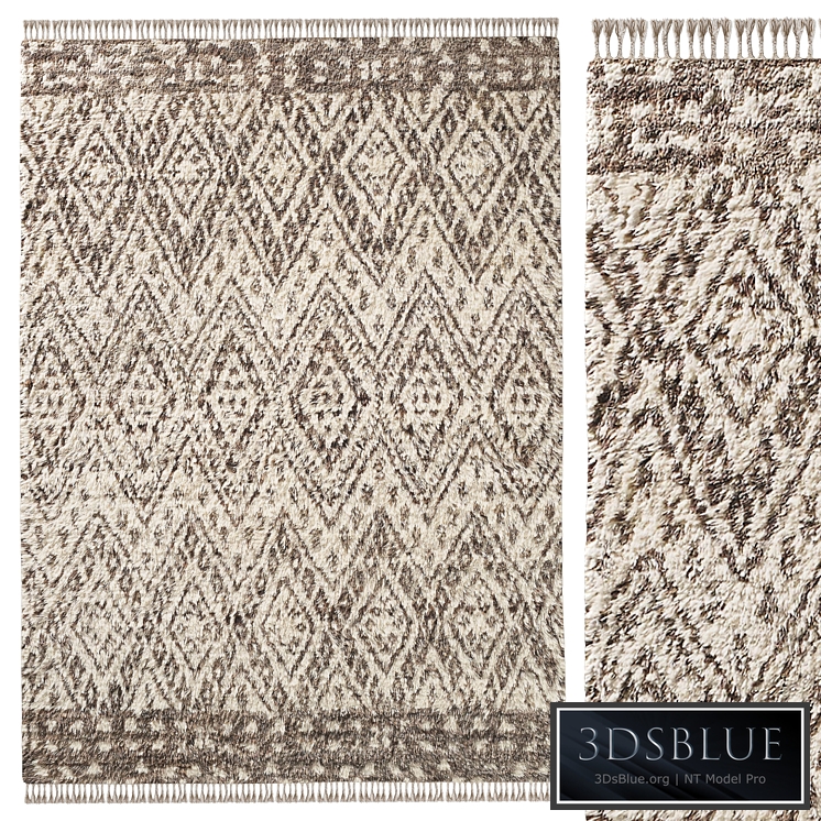 FAIZA BORDER WOOL RUG
