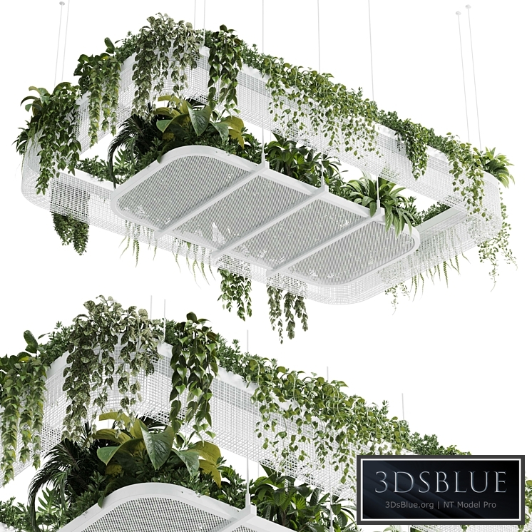 Hanging plants - indoor plant 323 vray