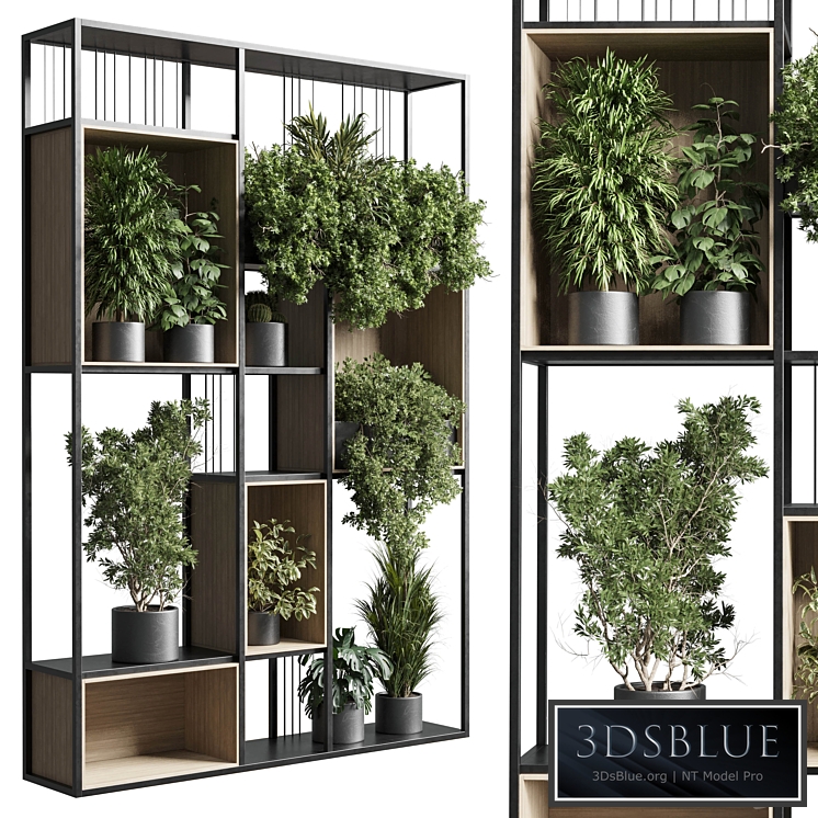 Standing metal shelf with a set 384 of plants in metal boxes corona