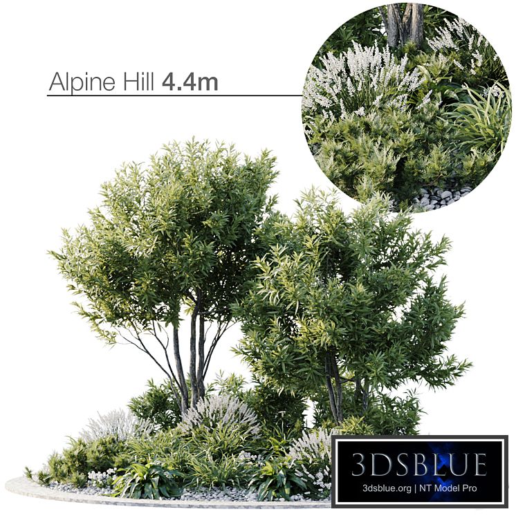 Alpine Hill 6.1