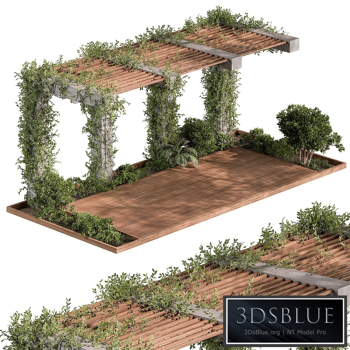Pergola and Plant - Set 81