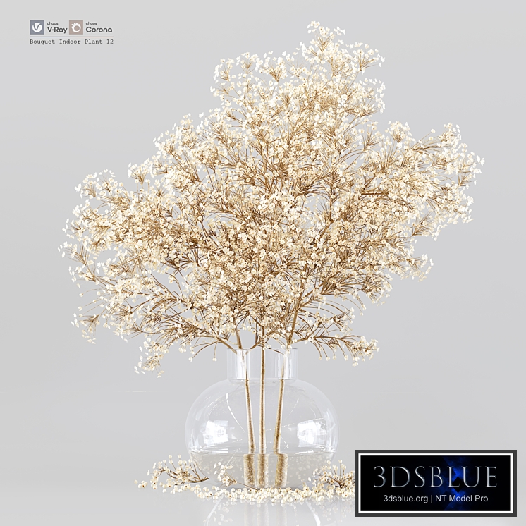 Bouquet Indoor Plant 12