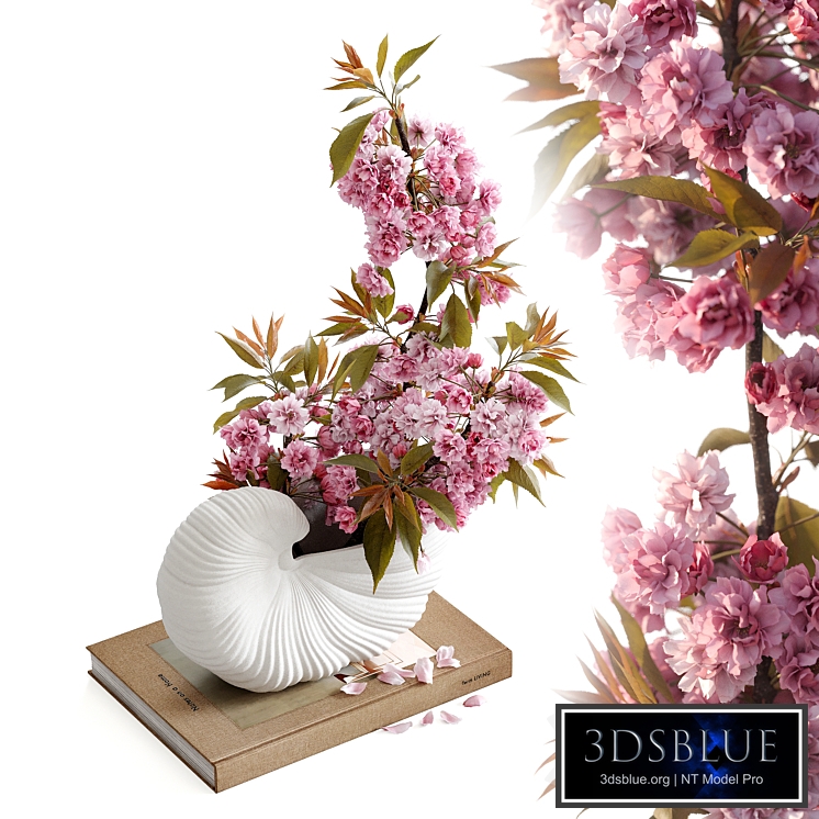 Shell Pot with Sakura Ferm Living