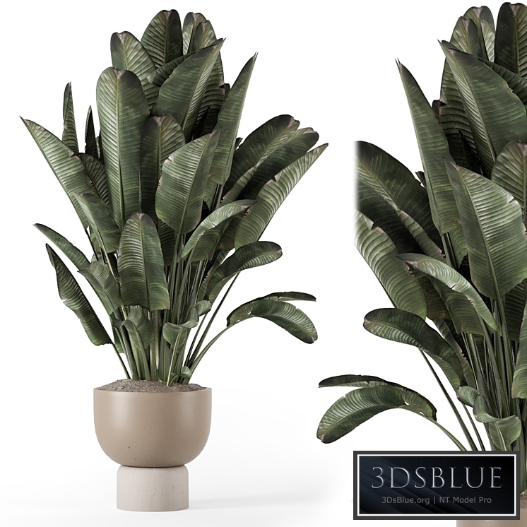 Indoor Plants in Ferm Living Bau Pot Large - Set 1507