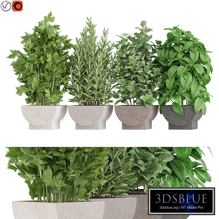 Plants collection 944