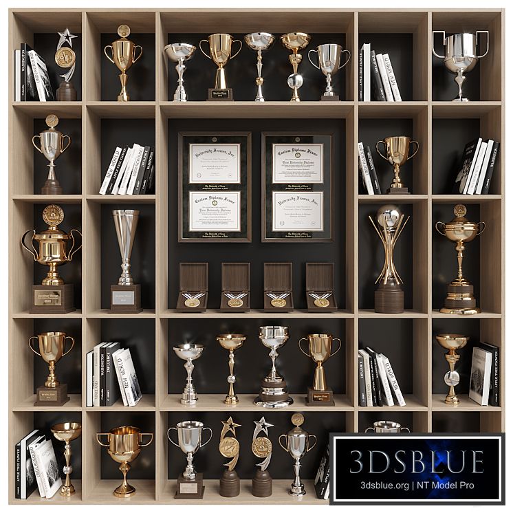 Rack with awards and books