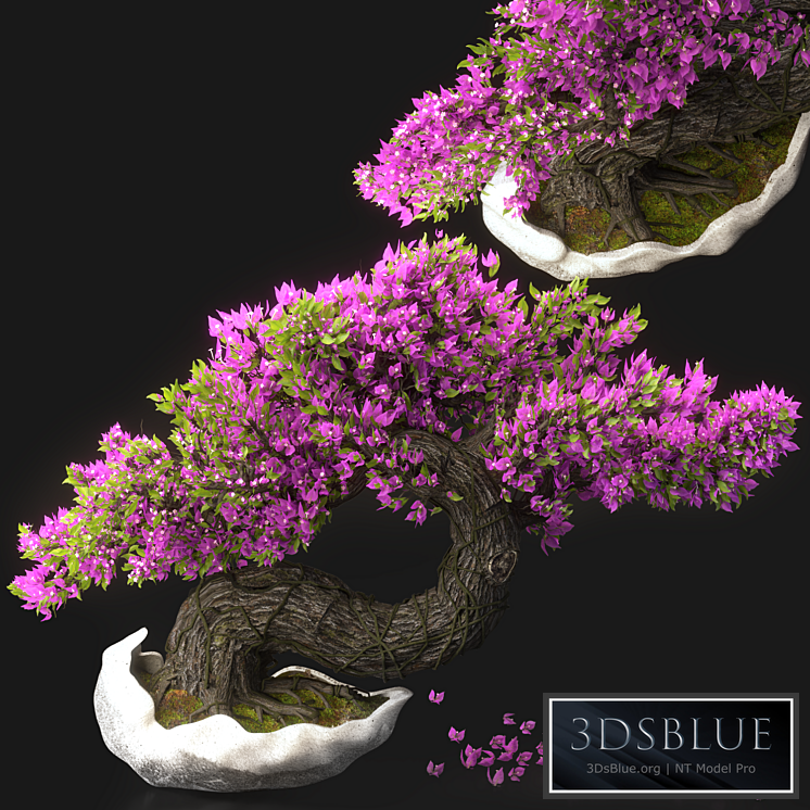 Bonsai Flower Set-13