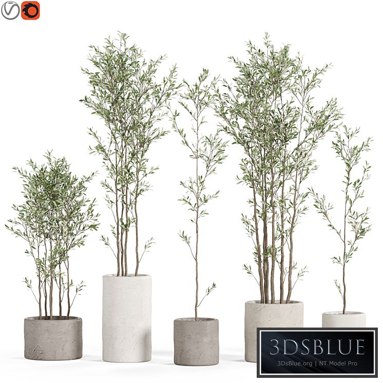 Plants collection 949