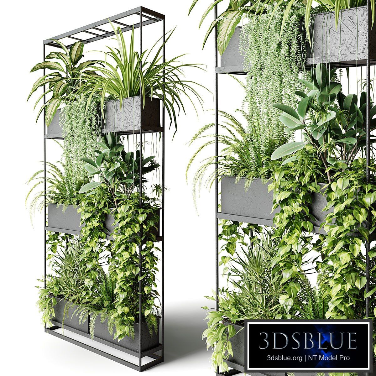 Wide metal rack with indoor plants