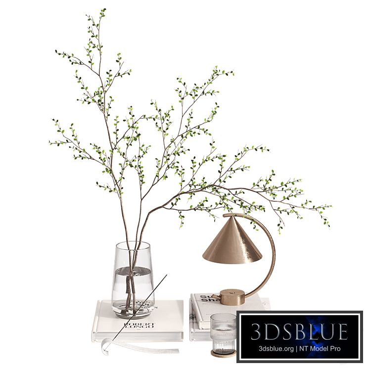 Decorative set with branches and Meridian Lamp
