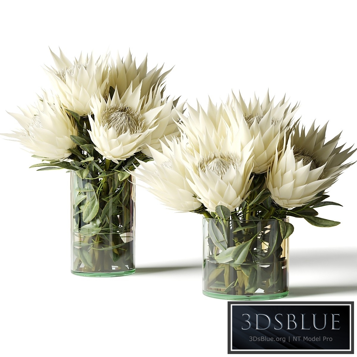 Flower Set white proteas