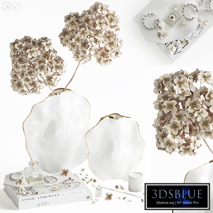 Decorative set with hydrangea