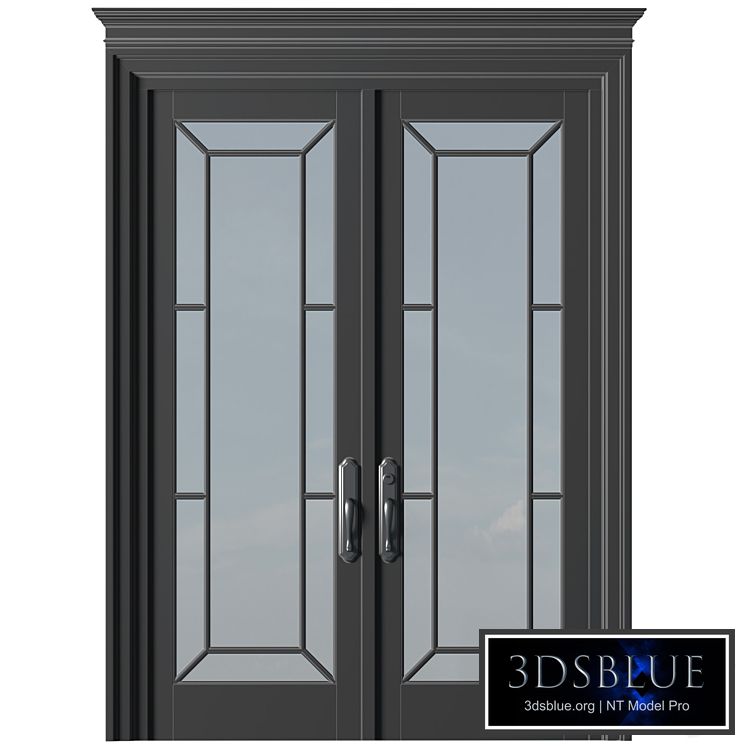Entrance modern classic street doors. Entrance to the house.Front Iron Doors. Outdoor Entrance classic door.Art Deco External Doors. Exterior Door.Street Doors.Double Exterior Door