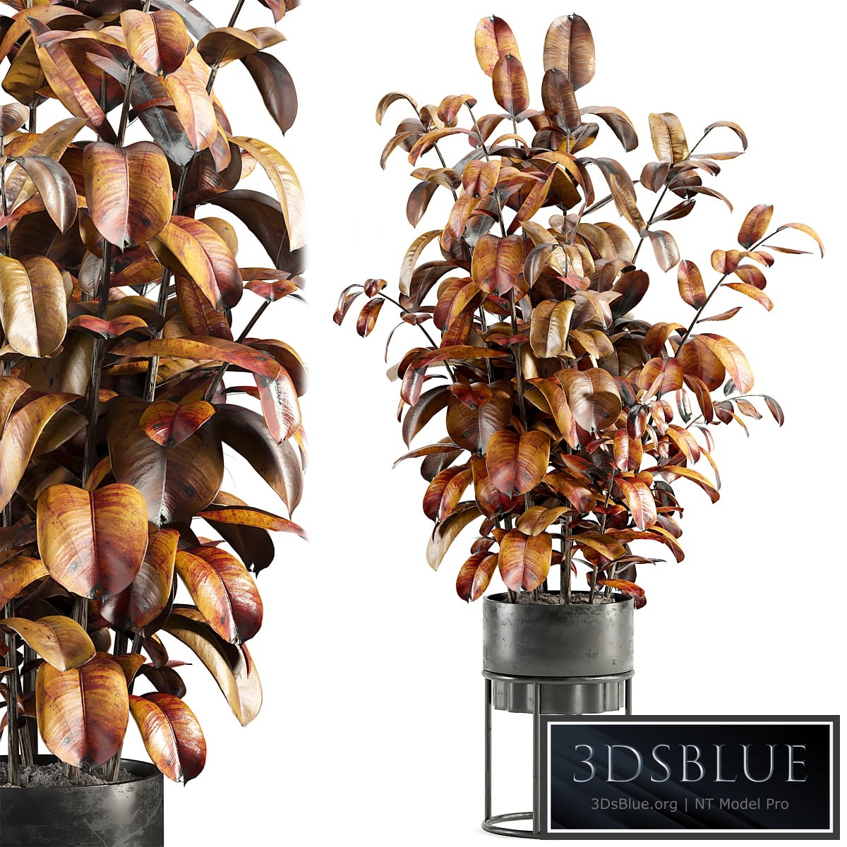 Indoor Plant Set 069