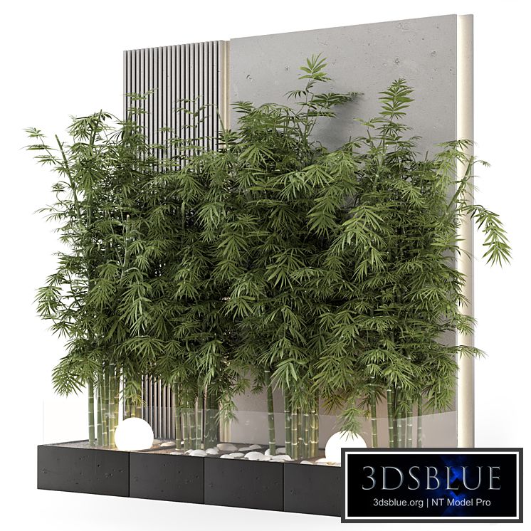 Indoor Wall Bamboo Garden in Concrete Base - Set 1529