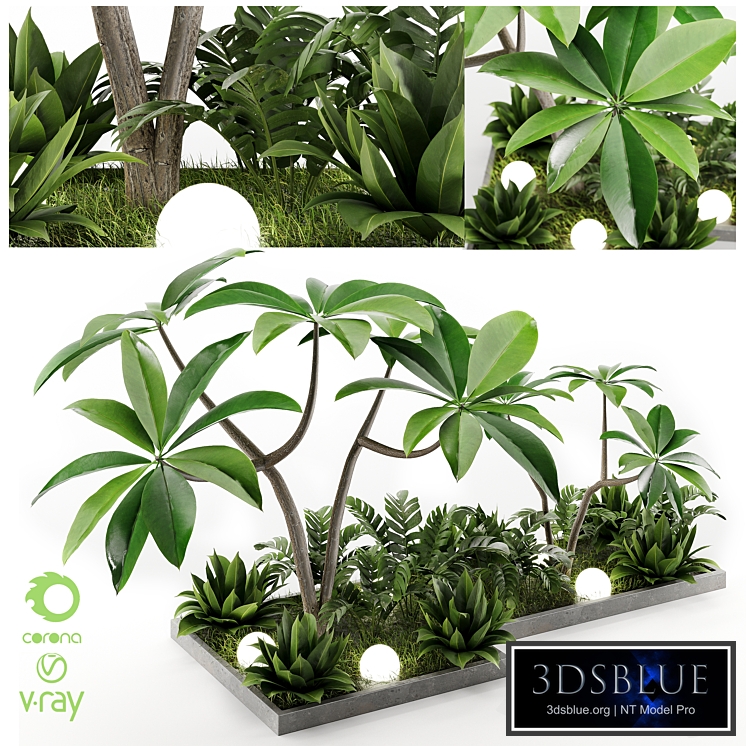 Outdoor Plant Vol1 04