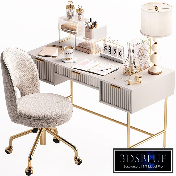 Study Room Desk For Teenagers and Kids_N01