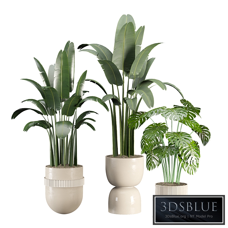 indoor-plant-set