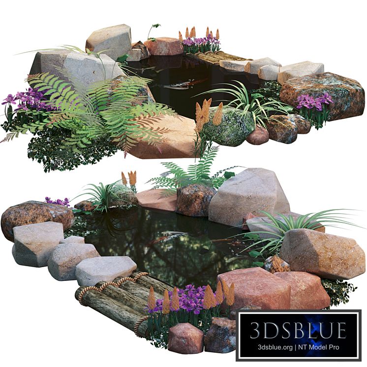 artificial fish pond