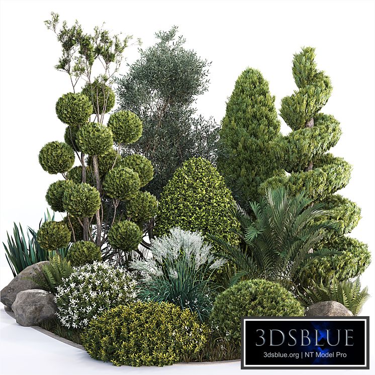 Group outdoor plants & Hedges 2