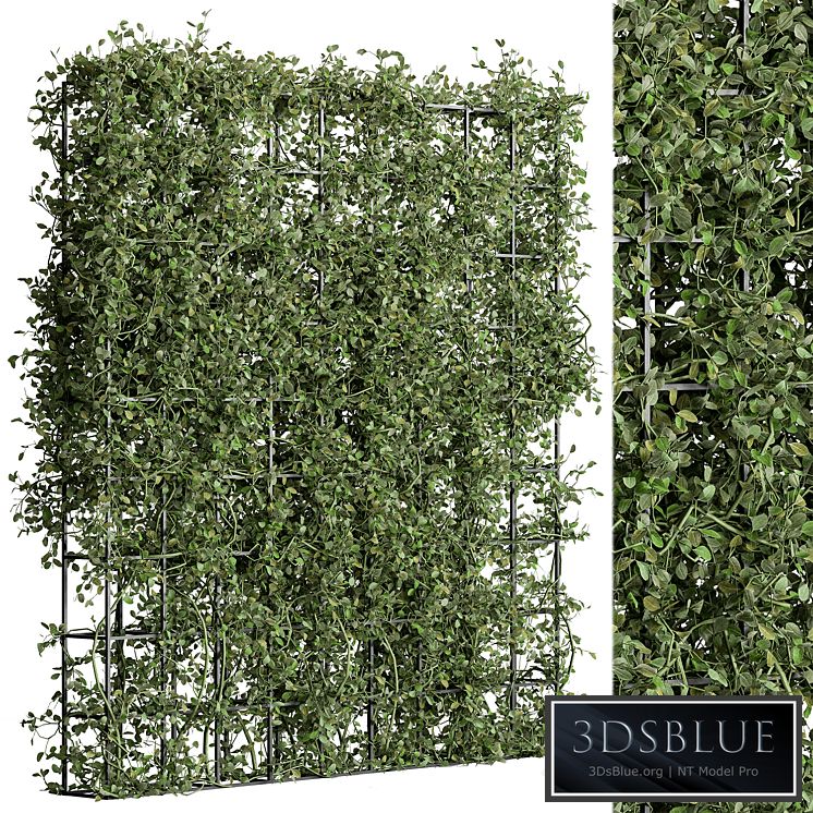 Vertical Garden Partiton - Set 81