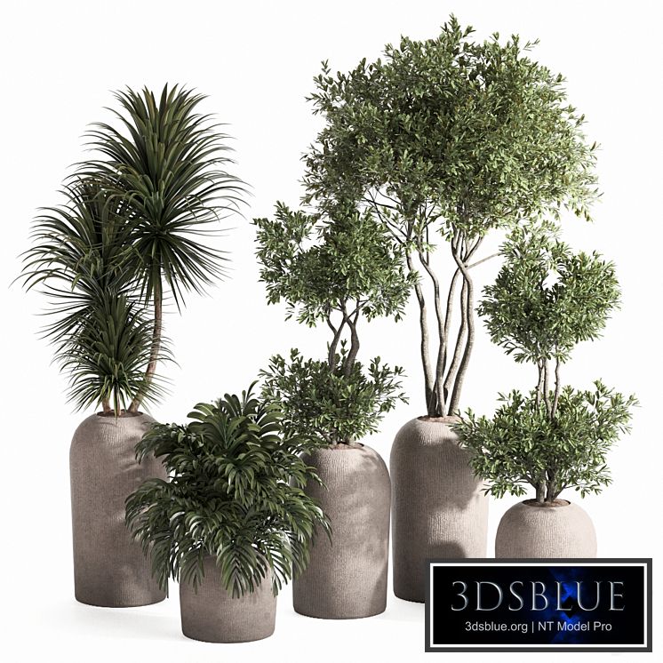 indoor plant set