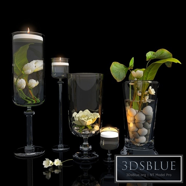 Plants in glass vases