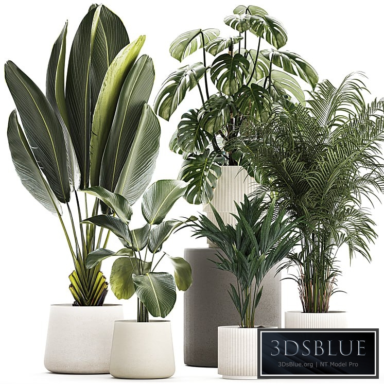 Plant collection 1320