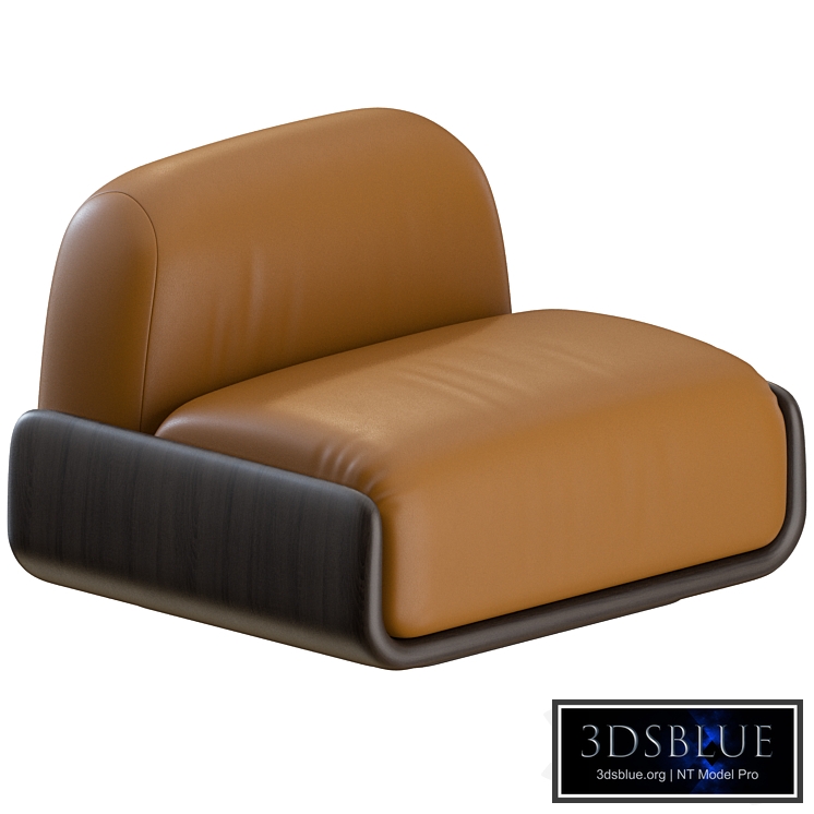 Tenere Lounge Chair by Van Rossum