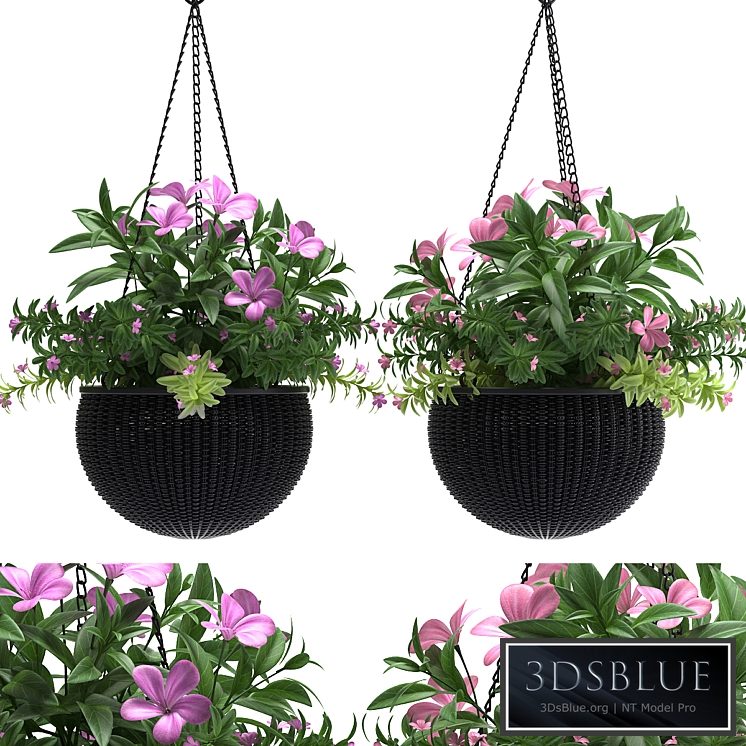 HANGING BASKET