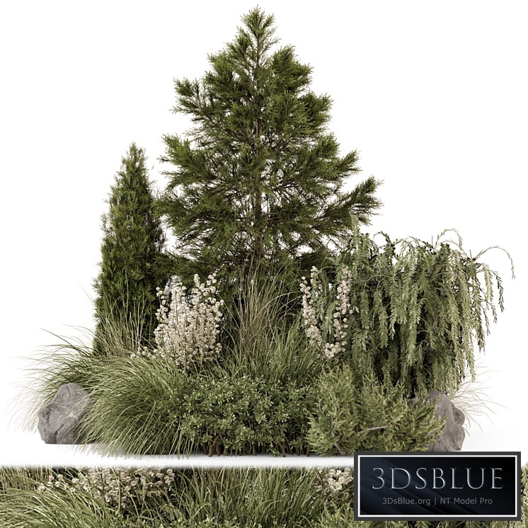 Outdoor Plants Bush Collection -Bush Set 1578