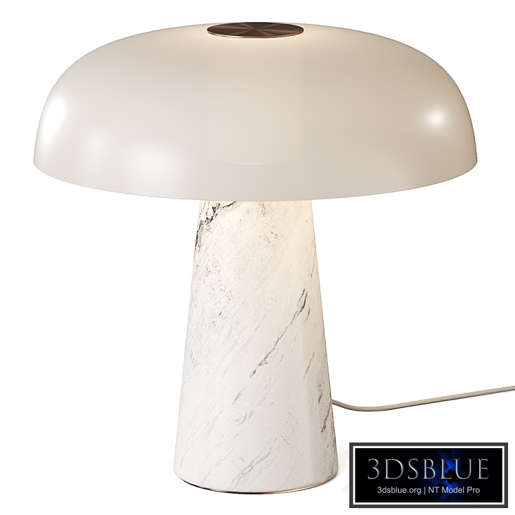 Glossy DFTP Table Lamp
