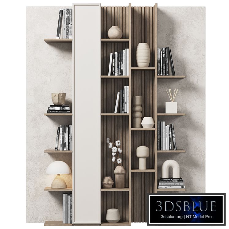 Cabinet with shelves 065