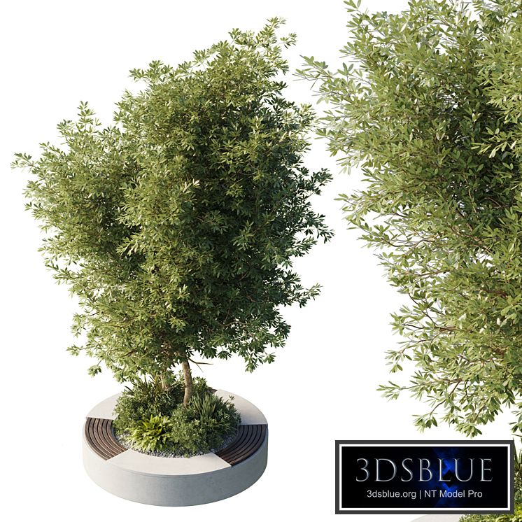 Urban Environment - Urban Furniture - Green Benches With tree 43