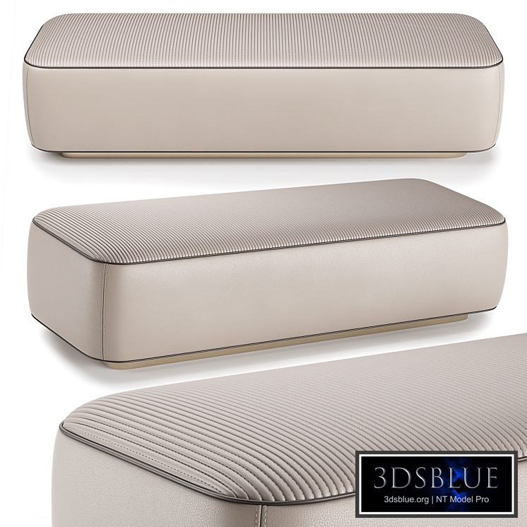 EMBRACE PANCA Visionnaire