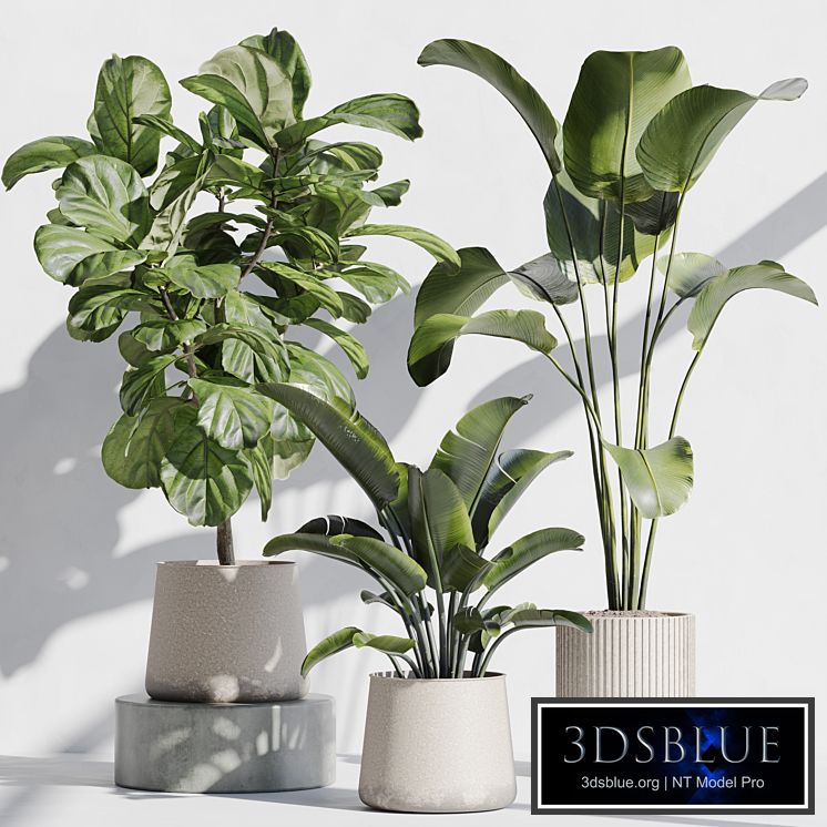 indoor plant set 67