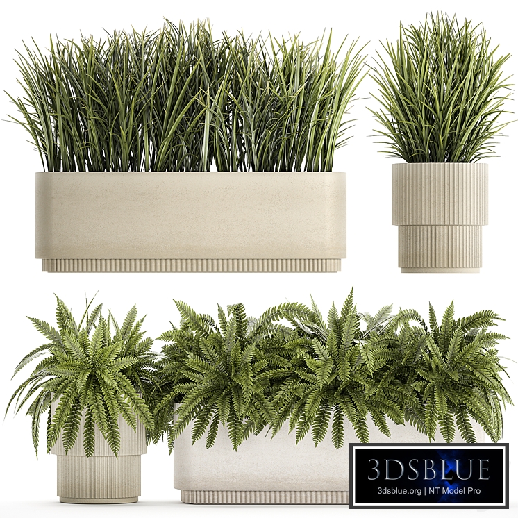 Collection of plants bushes and herbs in outdoor pots with Ferns. Set of plants 1338