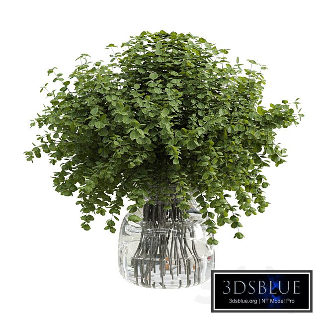 Branches plant with galss vase white - bouquet 36