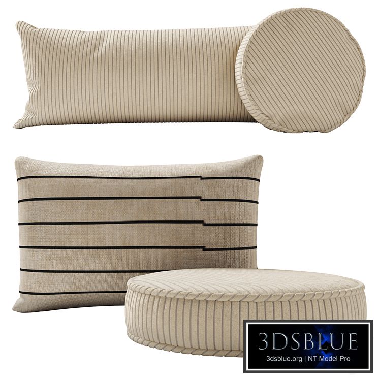 Crate and Barrel pillow set