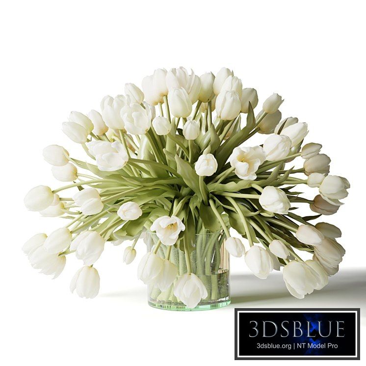 White tulips in a vase, a bouquet of flowers