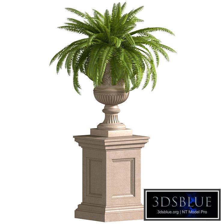 Boston Fern in a classic flowerpot.Flowers Garden Plant Palm Entrance Doors Flowerpot Patio Balcony